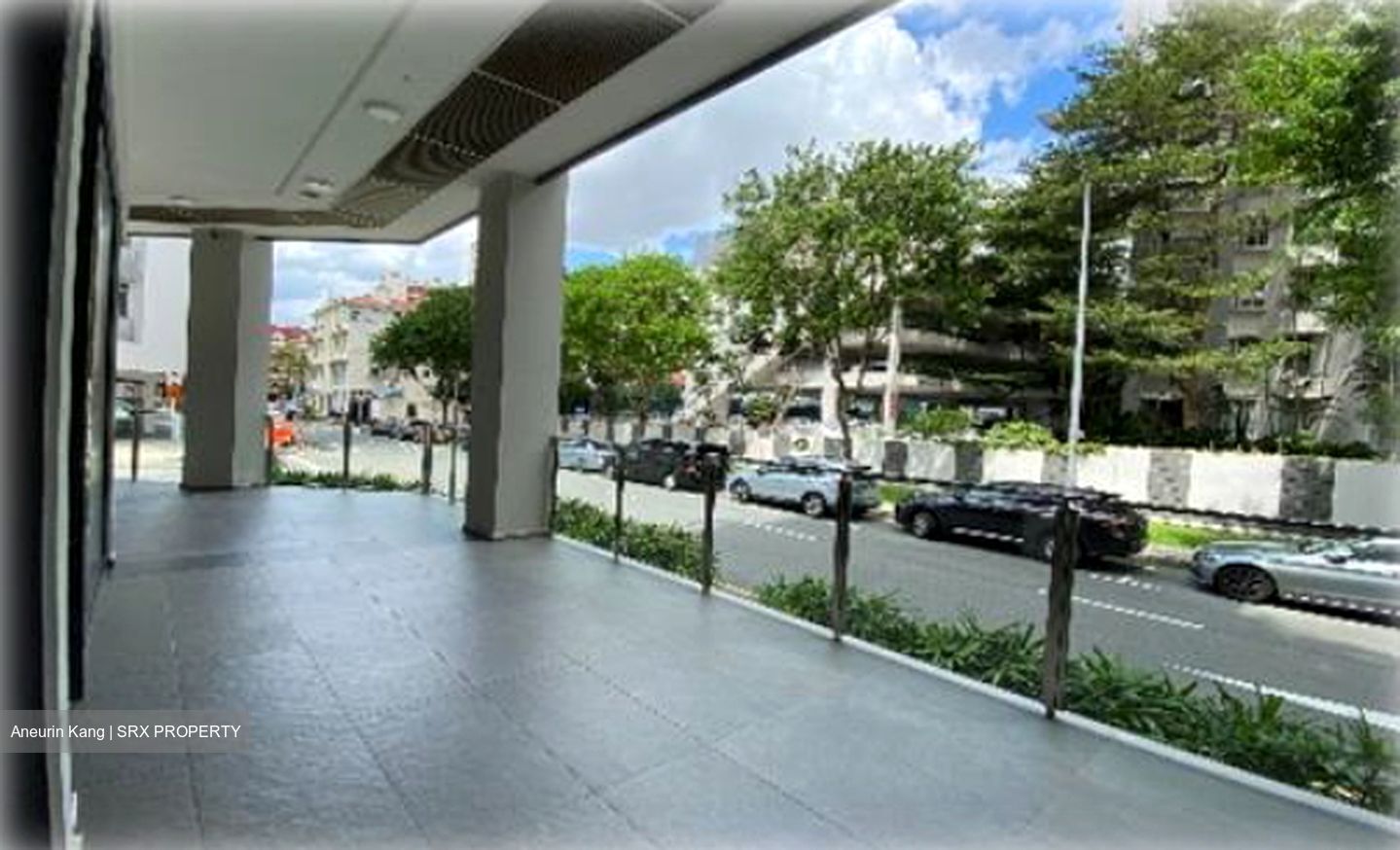 The Citron (D8), Retail #619500151